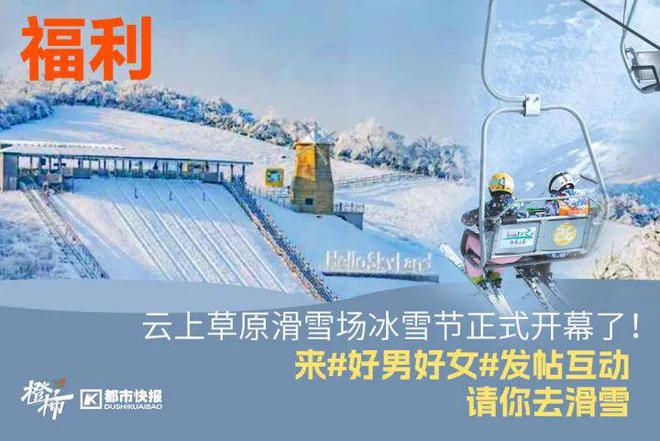 王茶姬动物手机支架……橙柿超多福利送送送k8凯发入口时髦人都有的巴拉克拉法帽、霸(图4)