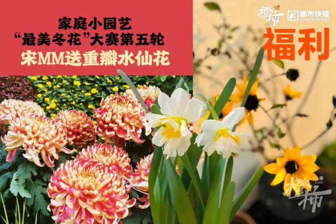 王茶姬动物手机支架……橙柿超多福利送送送k8凯发入口时髦人都有的巴拉克拉法帽、霸(图10)