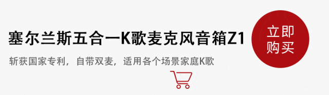 电源+收音机+支架5合1！K8凯发集团音箱+K歌+(图3)