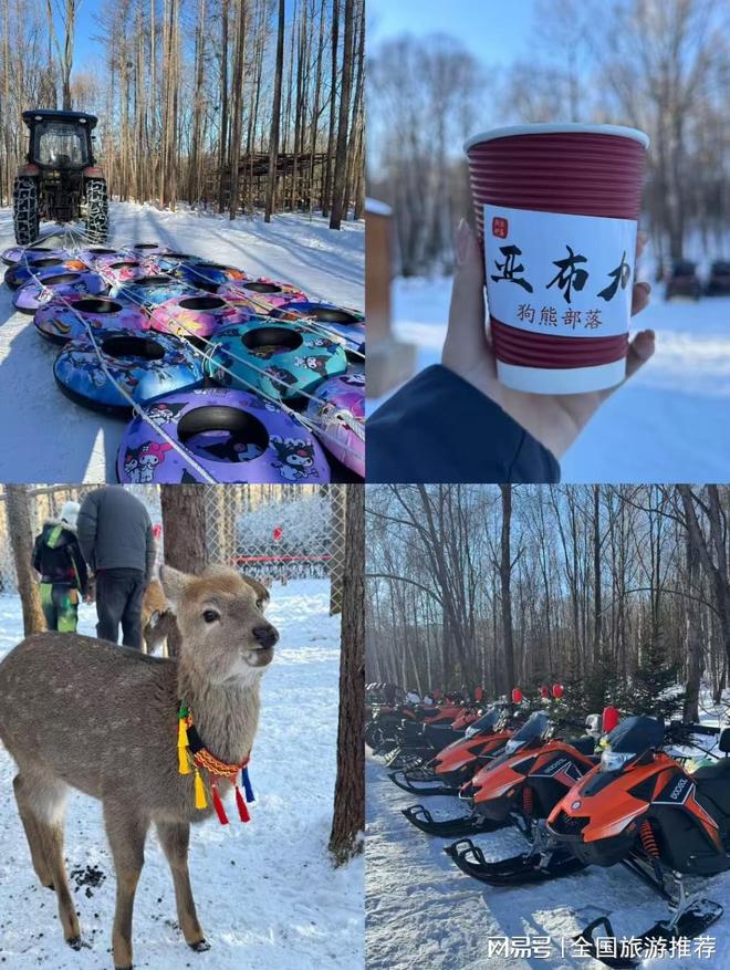 游报价哈尔滨打卡顺序已排好超实用！K8凯发集团亲测哈尔滨旅游攻略+旅(图3)